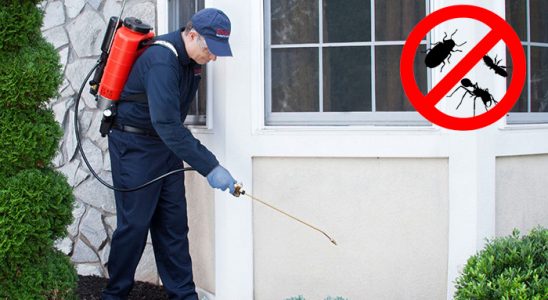 Seydişehir Bit İlaçlama böcek ilaçlama ve haşere kontrolü — ilaclama-tr.com